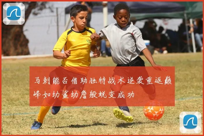 马刺能否借助独特战术逆袭重返巅峰如幼鲨幼詹般蜕变成功