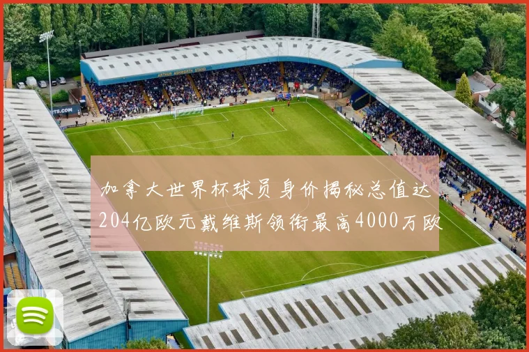 加拿大世界杯球员身价揭秘总值达204亿欧元戴维斯领衔最高4000万欧